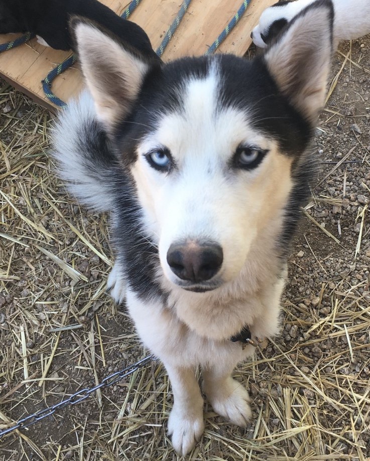 ...